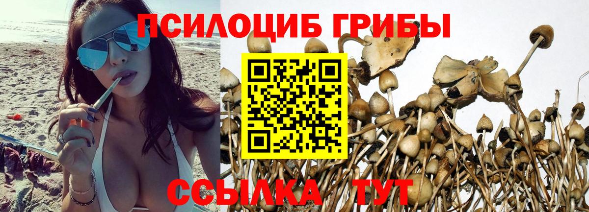 Галлюциногенные грибы Cubensis Белореченск